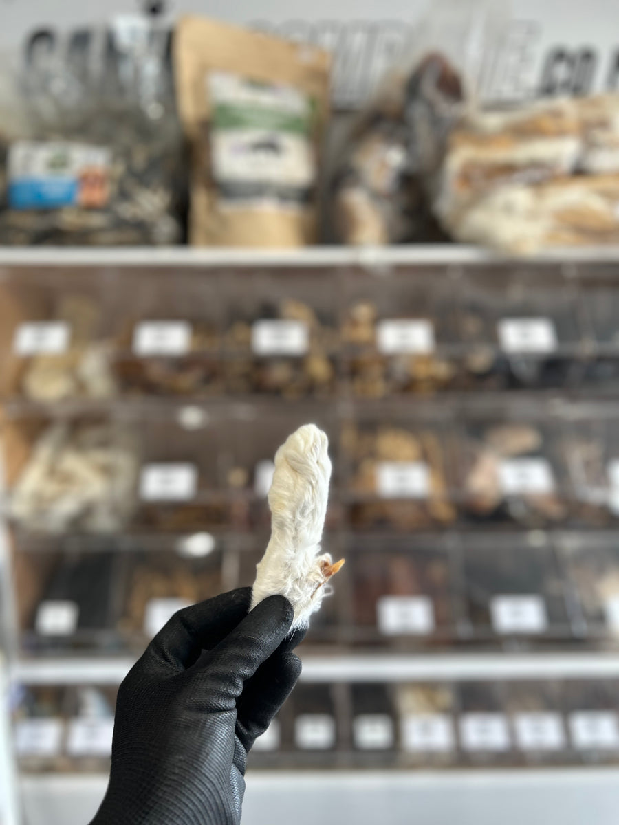 Rabbit Foot for Dogs - Natural, Crunchy Treat for Dental Health ...