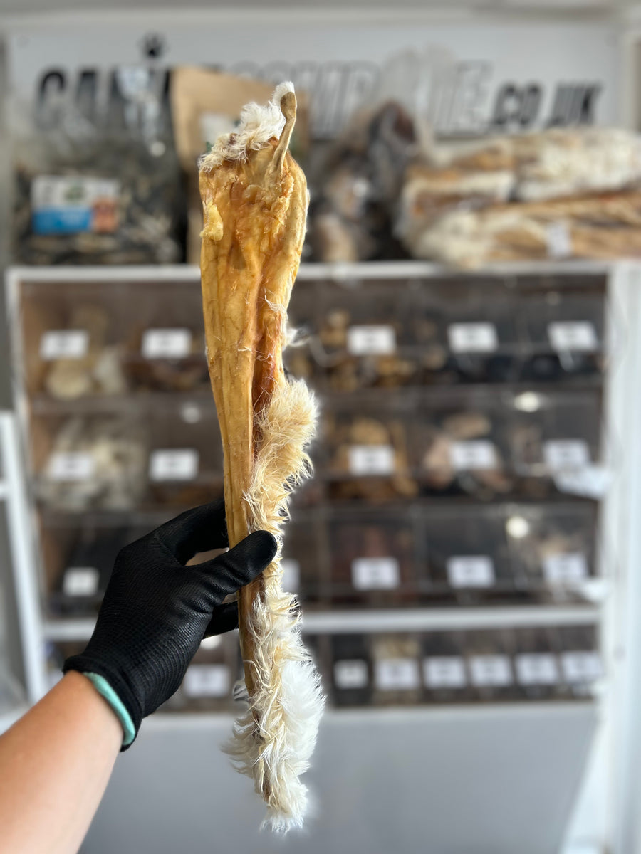 Rabbit Skin for Dogs - Natural, Chewy Treat for Healthy Skin and Coat ...